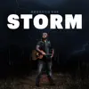 Natu Band - Through the Storm - EP