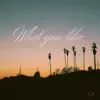 JamFest - What You Like - Single
